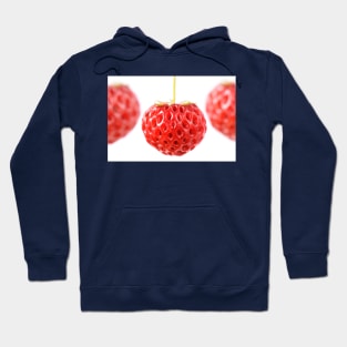 Fragaria x ananassa  &#39;Framberry&#39;  Strawberry Hoodie